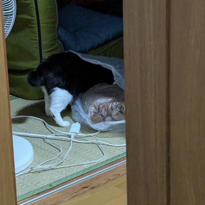 Dd347d32 3438 4110 ba9a 079b404bfd11 1760677199019