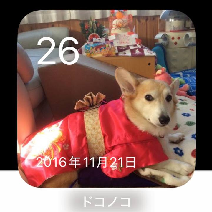 Dd34cfe2 e1dd 4481 835c 7bad417c8746 1764168769759