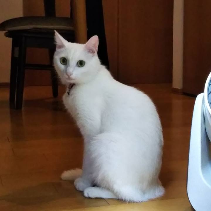 Dd34dd64 c074 48ff b787 59706dd8f843 1626988728341