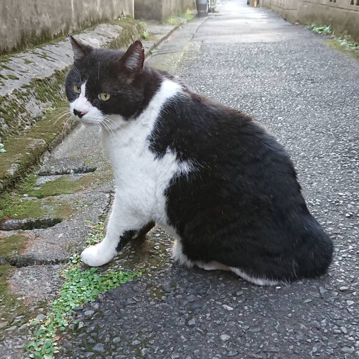 Dd34e576 718d 4d9d 9bd7 af0d9d9247a7 1627031448036