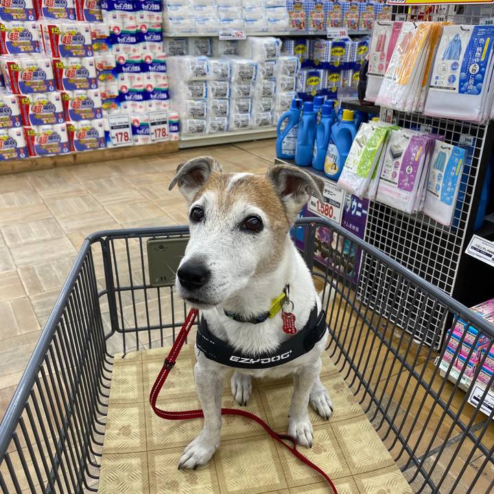 Dd34fc41 8f7a 4f92 8c93 0fd97134e30f 1601201997874