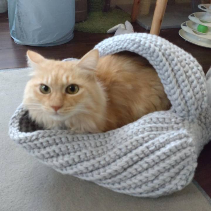 Dd352a2a a66d 4e12 902e aa133bc6b08c 1766709771255