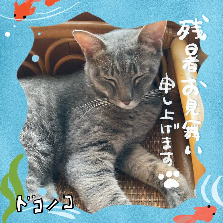 Dd35304c ddcb 49b9 a5b7 b05d8ce3ab18 1723193302179