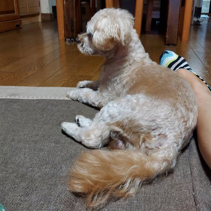 Dd353fc7 08e5 4771 97b9 153b799c45b2 1630720226466