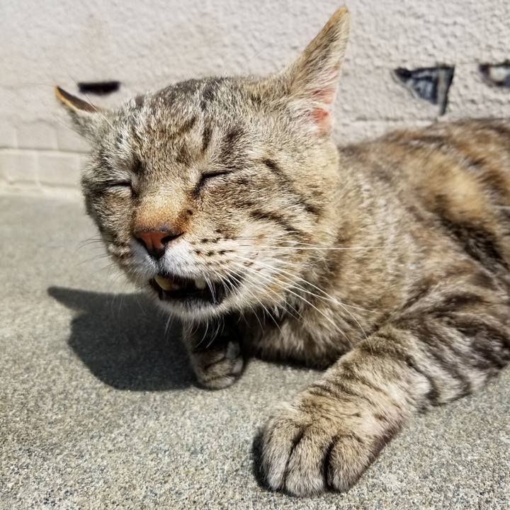 Dd3587fb 1175 4977 baa7 a10b58f257ac 1625326120090