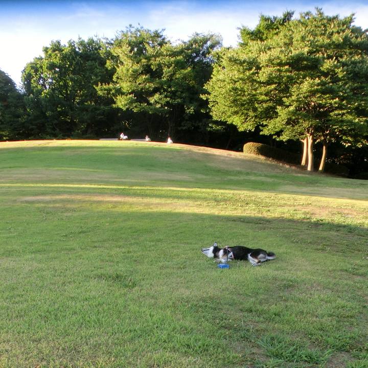 Dd35910d a0c8 4cd4 8be3 2360129160ca 1533249485949