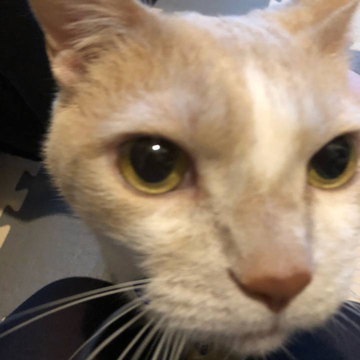 Dd35ac04 2f49 4f27 8afe d1d19c5c78ed 1553211825882