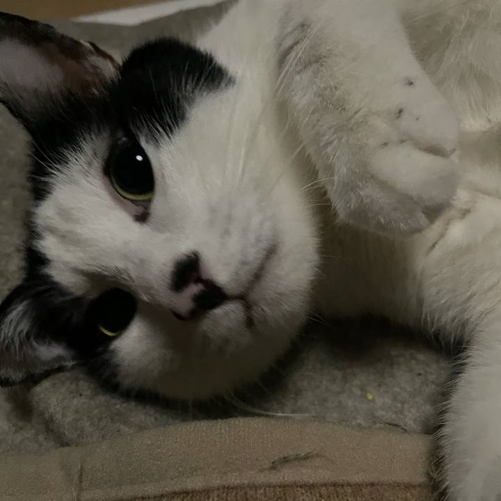 Dd35b06c 5536 4003 a490 3515bbc1c6e7 1617560966132