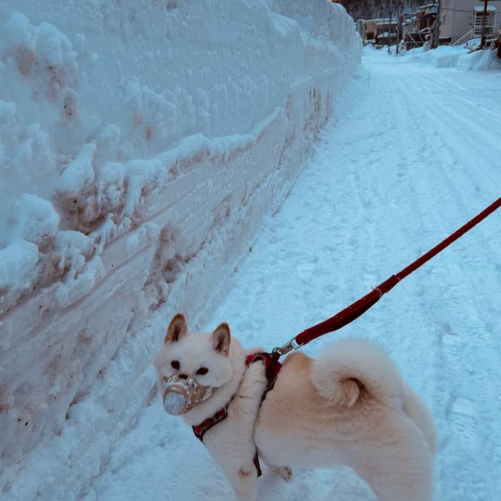 Dd35c7c4 4b1b 415c 9c19 2eb0feb3d920 1706741266534