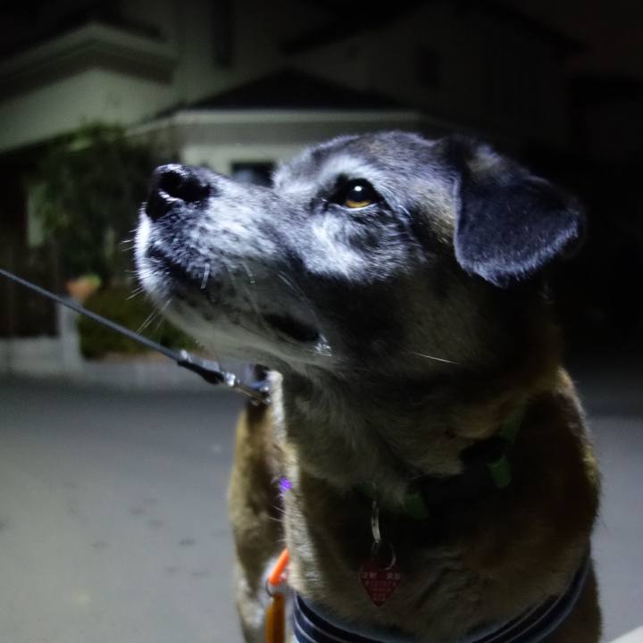 Dd3603b0 7386 4920 bab2 aef9d0e69071 1628727820015