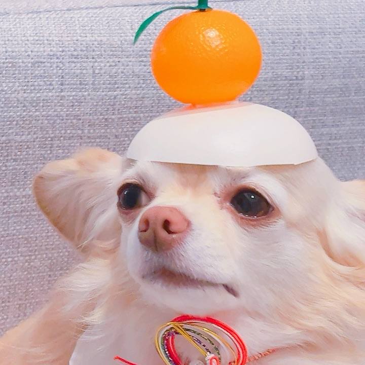 Dd361063 cd40 407c af4a 786f7f258cf3 1705835280778