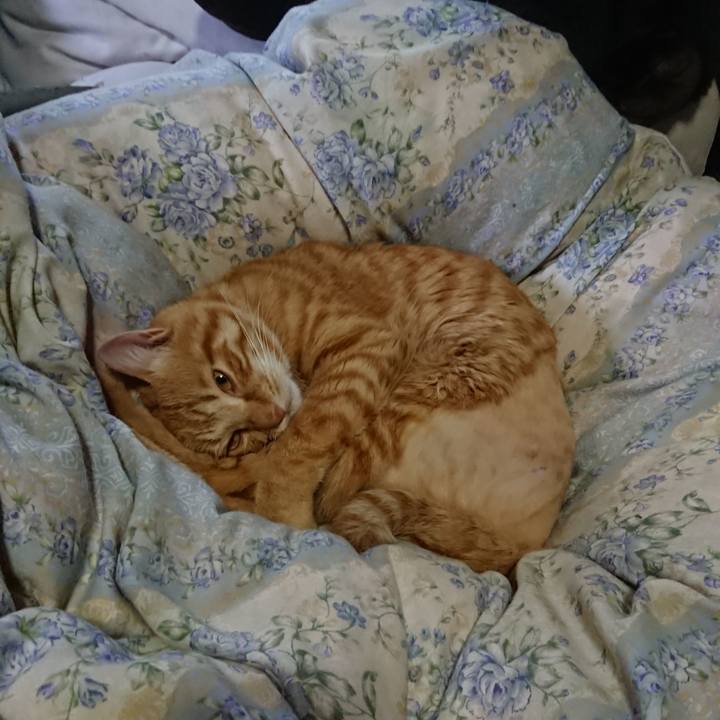 Dd3685cf d3df 4c60 aa09 35ae0bd52019 1655158102300