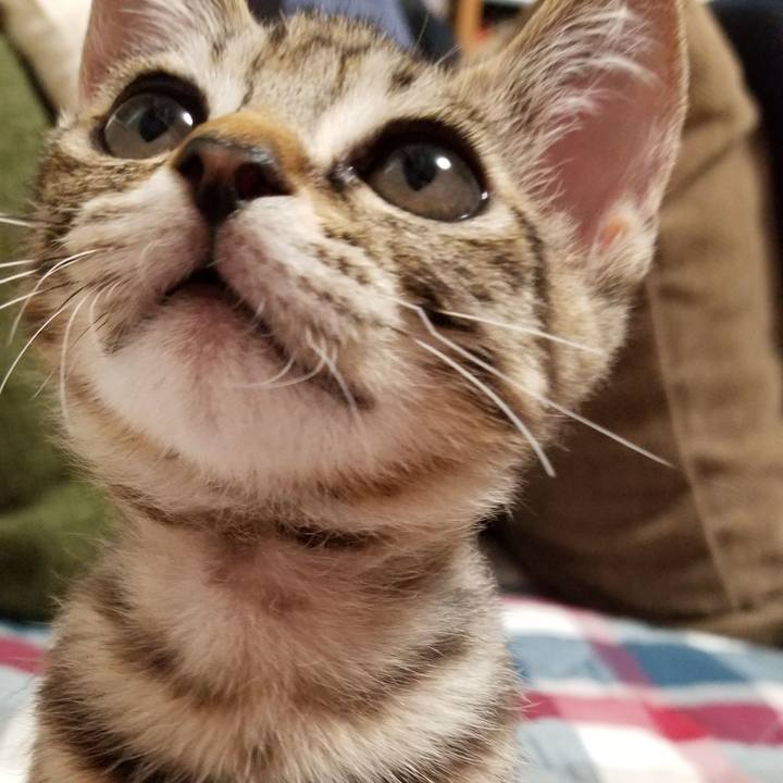 Dd36aafb 8f09 4518 9ae9 3233243bce76 1536672046294