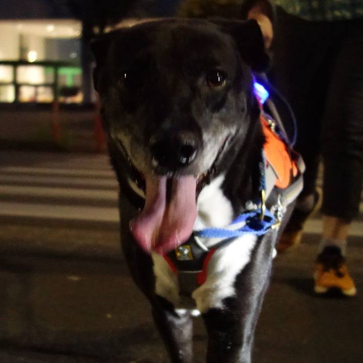 Dd36bdec 7c56 471a 9896 5977c52b6c37 1721826199205