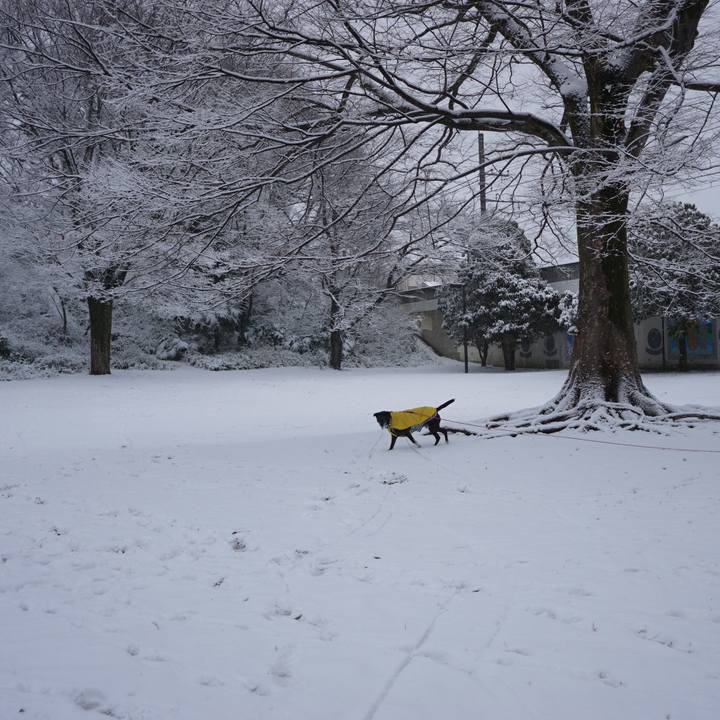 Dd36e24e 3c81 4f79 804c b585e10c6832 1770508734697