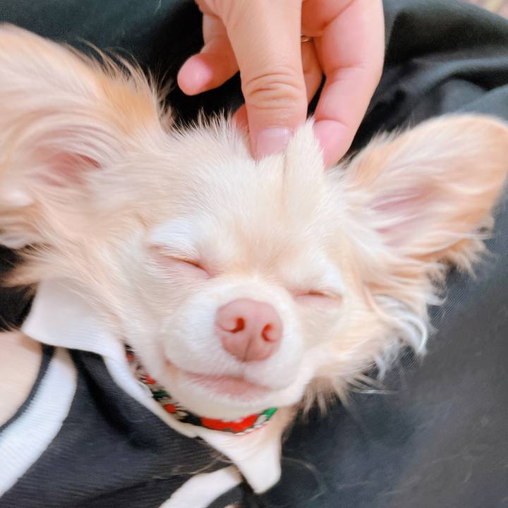 Dd36efdb 2849 43a9 93bf 6ed96fcd38eb 1661309169820