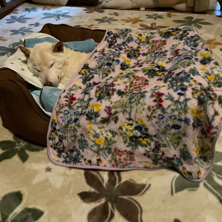 Dd371207 cd7d 46ad b77a 39a96bd8d8f9 1672006672908