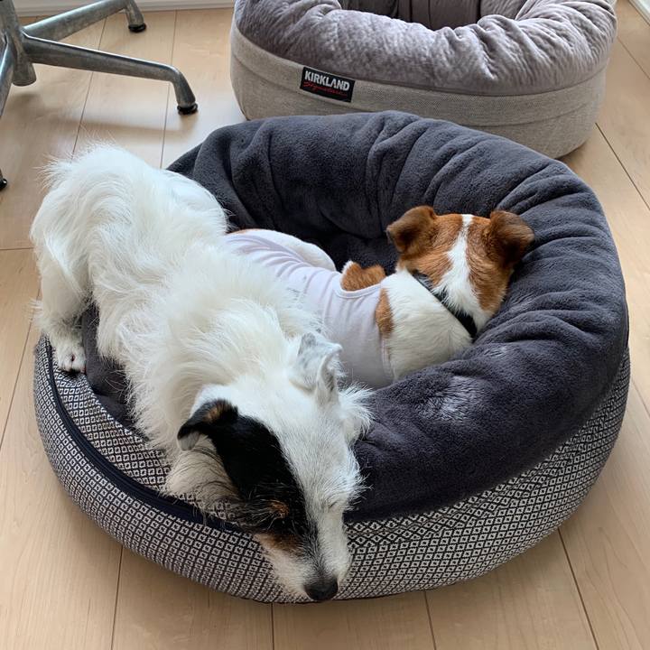 Dd37424a 9977 474c 802a 775d0e942e42 1591685068309