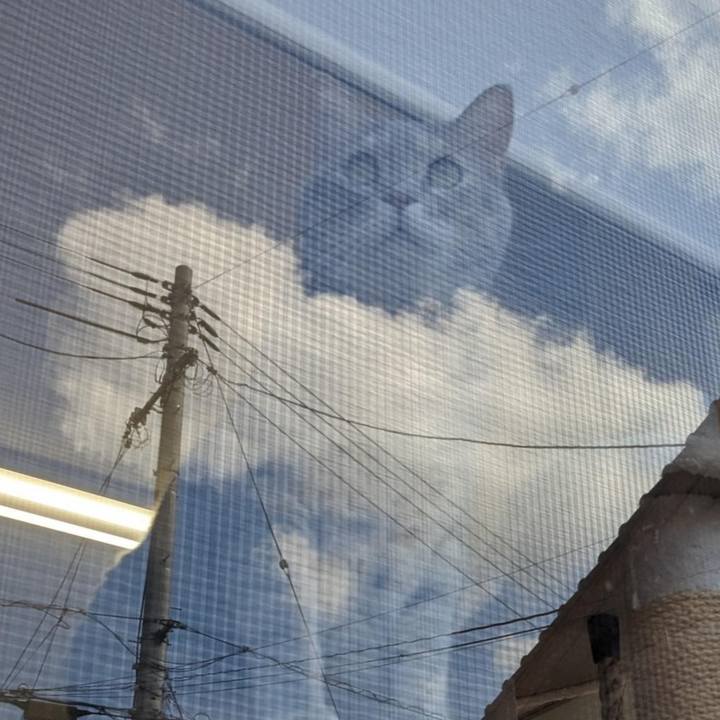 Dd375595 ee6f 46ca 98c8 d0d7b056f06b 1698120845627