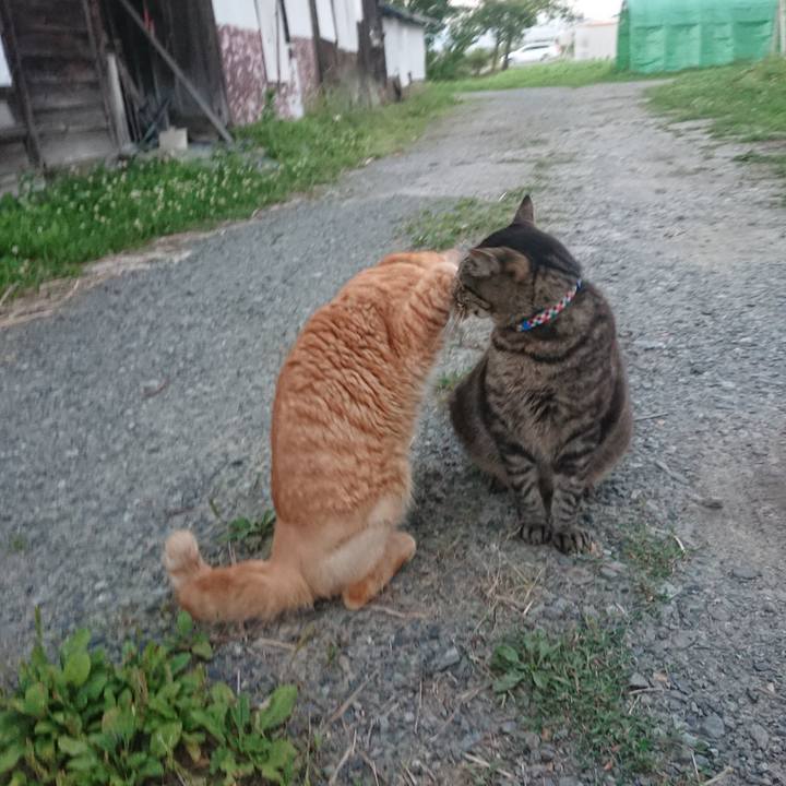 Dd37582b a924 459c a541 334759dbf291 1656585522716