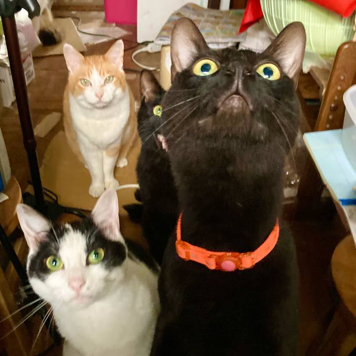 Dd377905 6576 4d86 a626 aea1c51e45fe 1699484404583