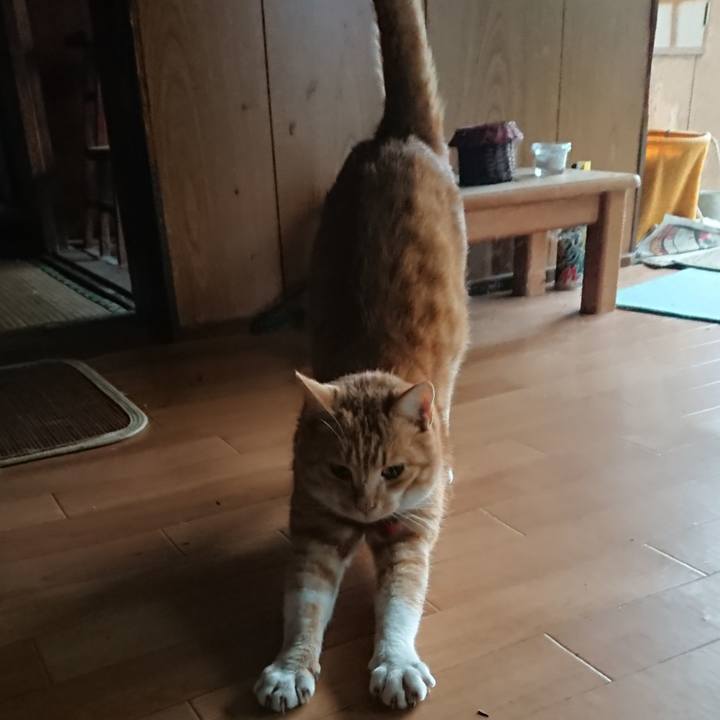 Dd37cd24 d6c7 4798 b30c 24fec8e22247 1573715556092