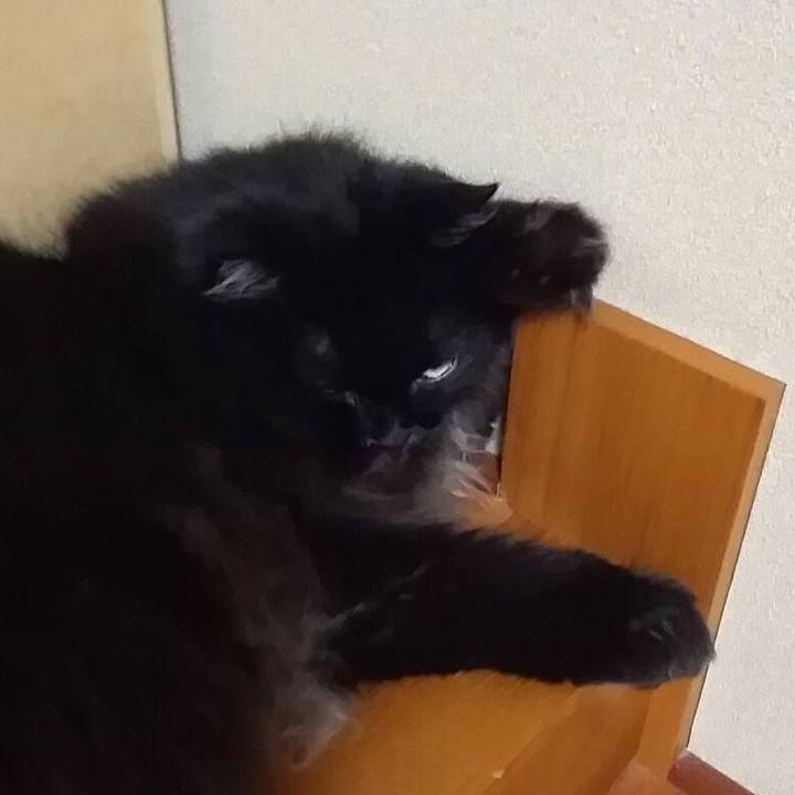 Dd37fac3 5c9c 467b 9007 f6801eaba0bf 1532687171438