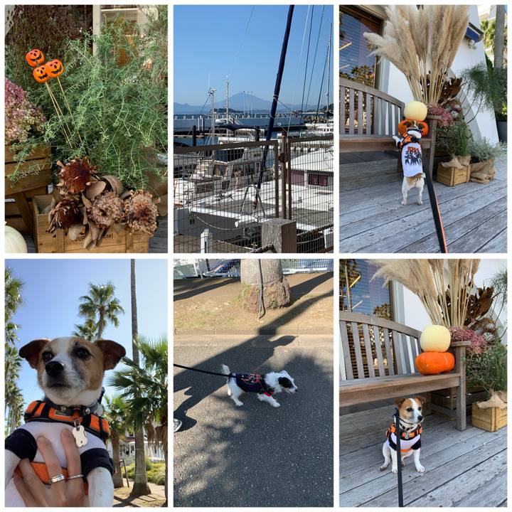 Dd3819e3 2872 40f6 aab5 a3319336741c 1604112061554