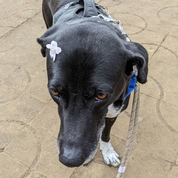 Dd382360 8e28 4eb3 8b9e 098fe31ed54c 1648601180251