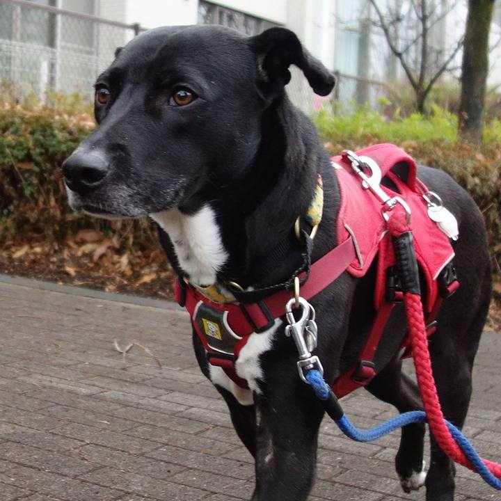 Dd384521 8e08 429a 92a2 bb024d83b40b 1611705322000