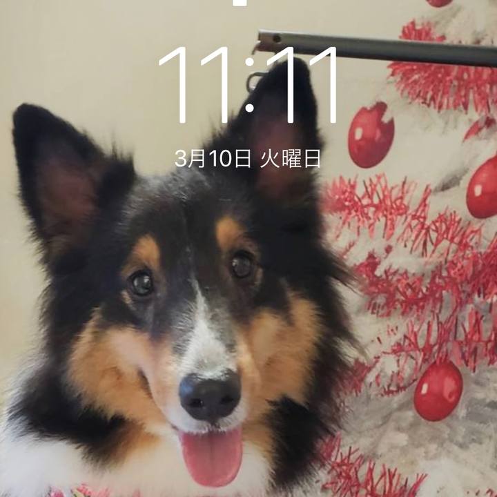 Dd385b6f c5a5 46f5 ab72 f40354a6992a 1583806401941