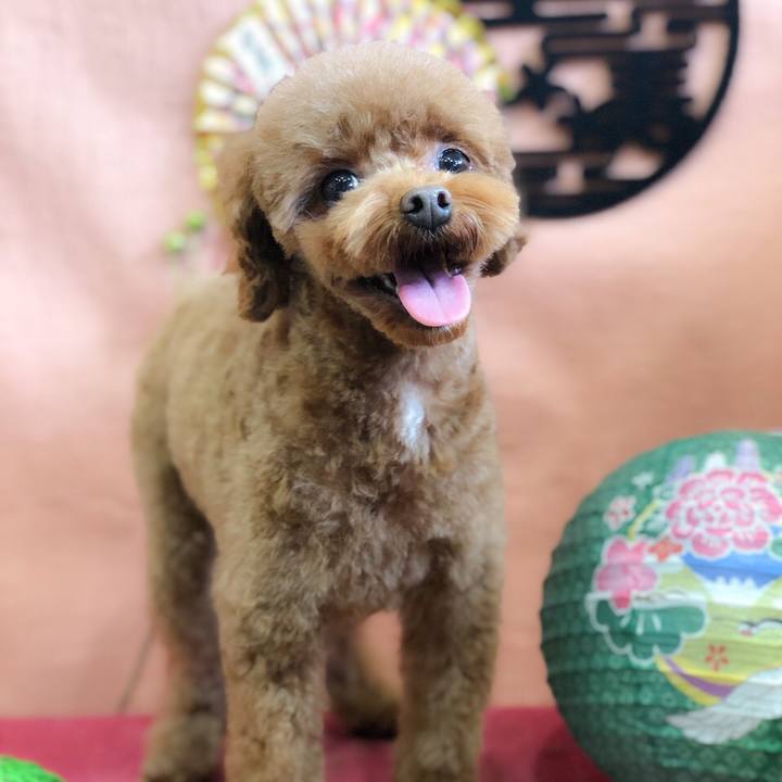 Dd38a0e6 79d0 47ff 8244 2bc67d87581e 1577805482727