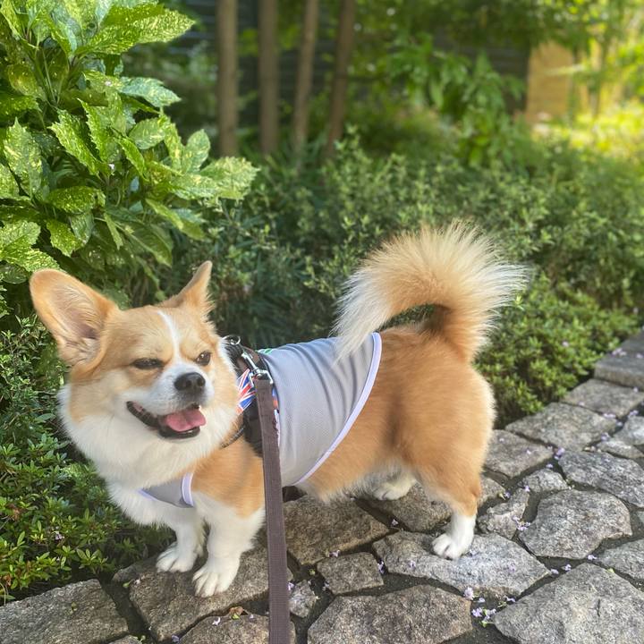 Dd38bd0d c397 4efb 8e3d 9752463f2e0f 1688259314552