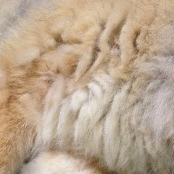 Dd38c5f7 8c2d 4cca 8fd7 9d0b46ffb7d4 1659777402839