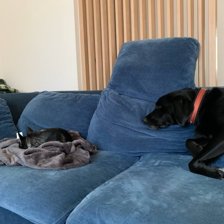 Dd38d6f8 6567 47c8 8745 1db196365b00 1667115225451