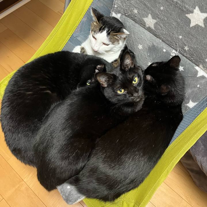 Dd391c11 97cf 440d 9c85 42067695368a 1731223203655