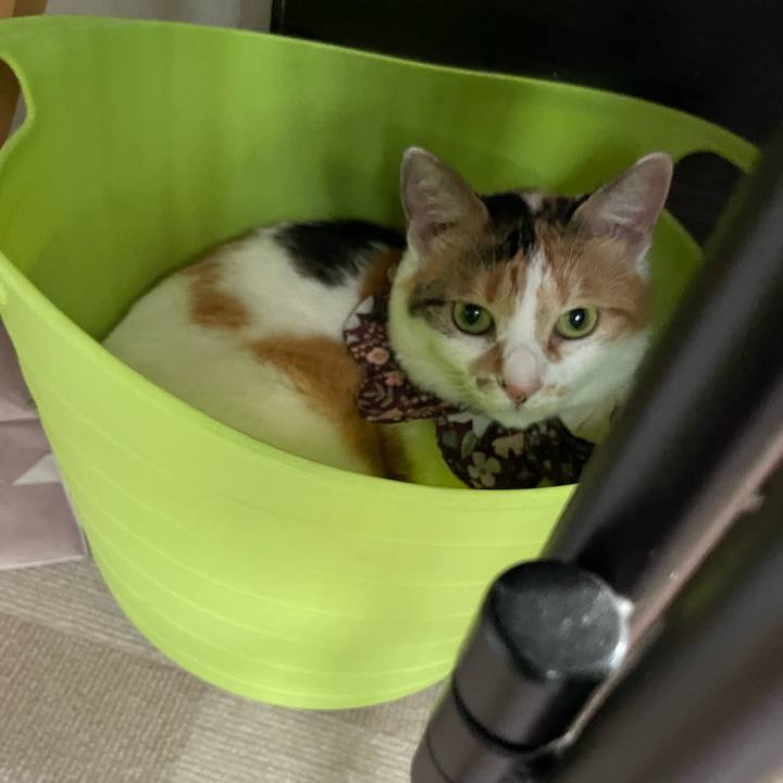 Dd3921d0 04ea 41b3 9107 dd5b8c140c8d 1751240036931