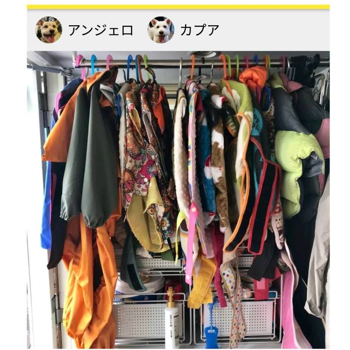 Dd394b9b 3339 43bf ac4b 537ca919ec72 1558409933786