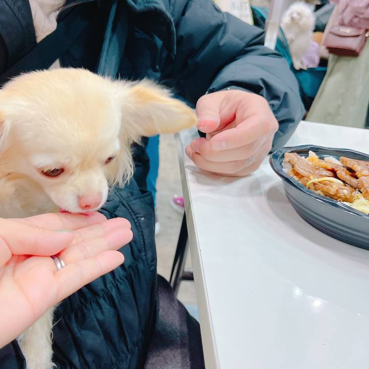 Dd397eee 2ff1 467f be71 17d42c974fdb 1648967013497