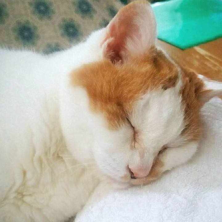 Dd39bcac 6a0a 4d86 b08b d3d253b170bb 1719918873944