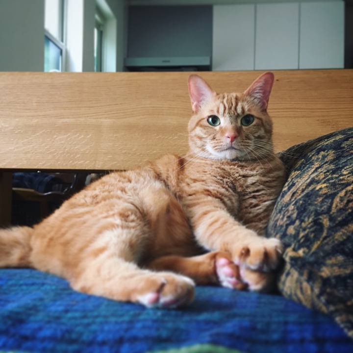 Dd39bcfa 4a23 4d75 b8c0 2d123e08326c 1590021362312