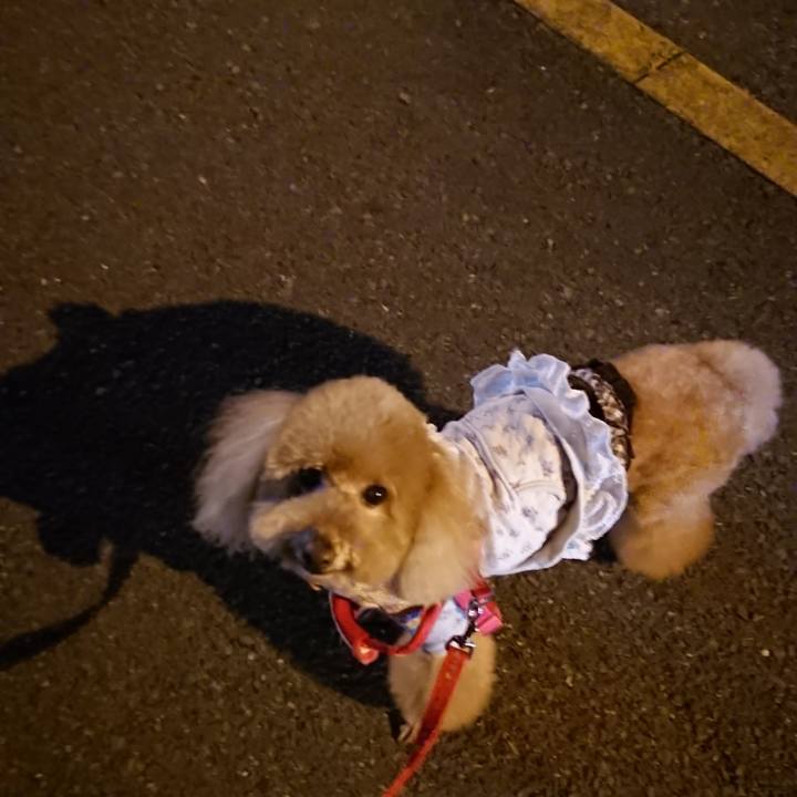 Dd39fa36 f2e6 4205 bf63 9697c4c0a08c 1543138633351