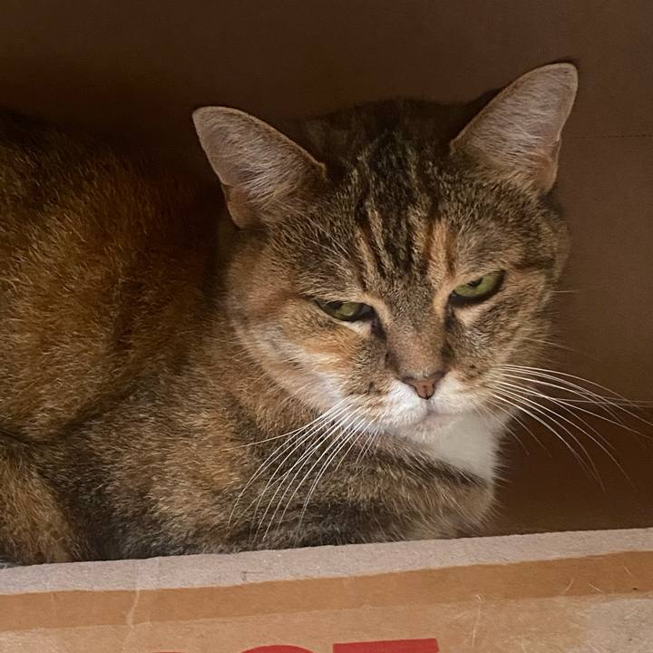 Dd39fb5f 5a20 4540 a781 10f5608406f5 1721016338354