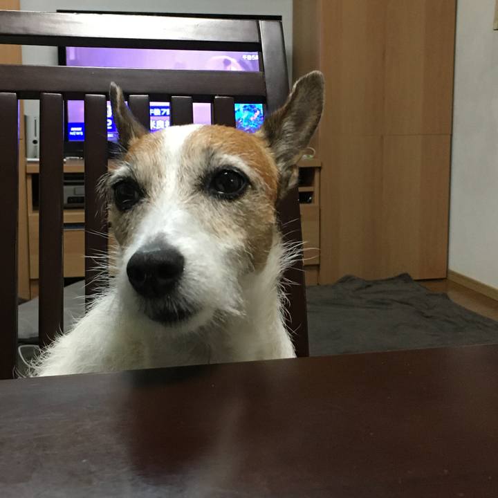 Dd3a61e7 ce3a 4bab b73d f86f86ea0e97 1628466574501