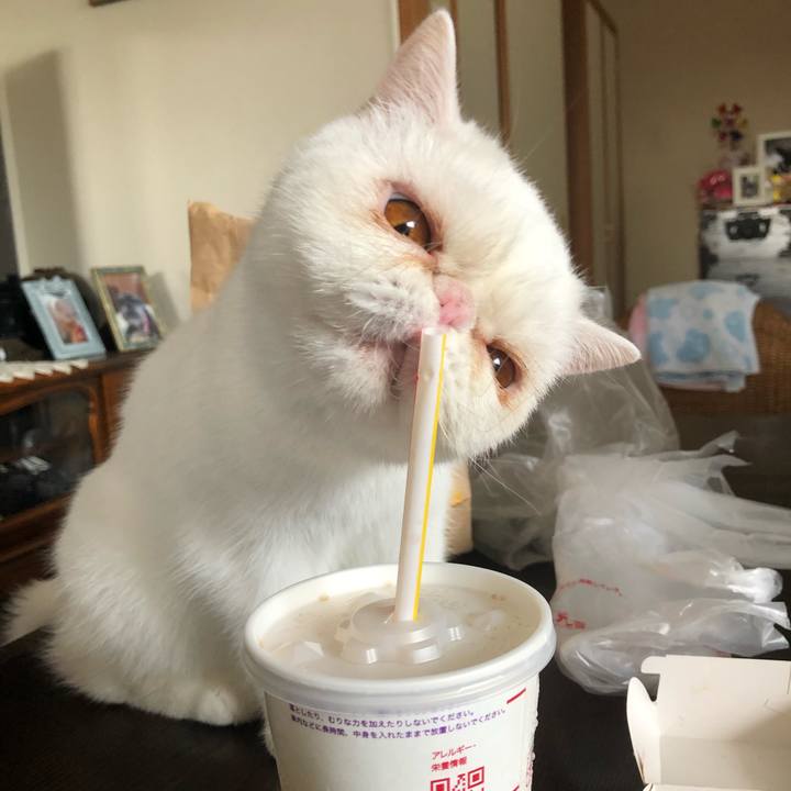 Dd3a6d5b af58 4fdf 9d82 6b8df229f44b 1593837825379