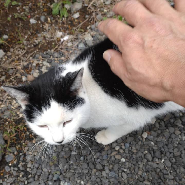 Dd3a7d61 2b97 4948 9501 97fea58b832e 1730857372301