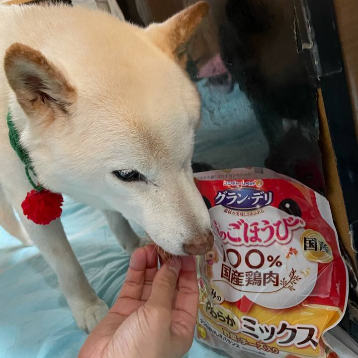 Dd3a7e04 166c 4ea4 a511 3c8ac9189ff5 1639744001596