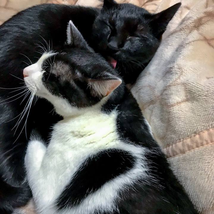 Dd3a8d96 eab3 4186 96fe fc008c539c89 1509506554499