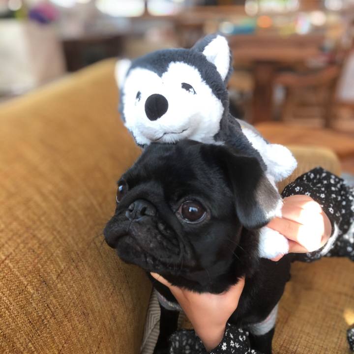 Dd3aa366 7661 4aa0 898e bd49dc782591 1606691342795