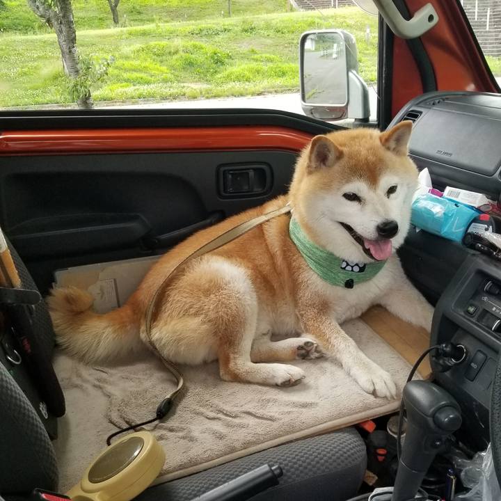 Dd3aa788 f026 4318 ad9d ec2b7db0ed85 1658044859500